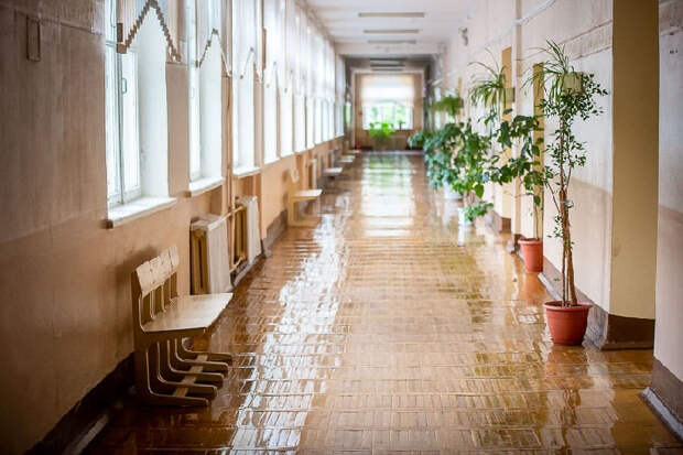 На Смоленщине в школах введен частичный карантин из-за гриппа и ОРВИ