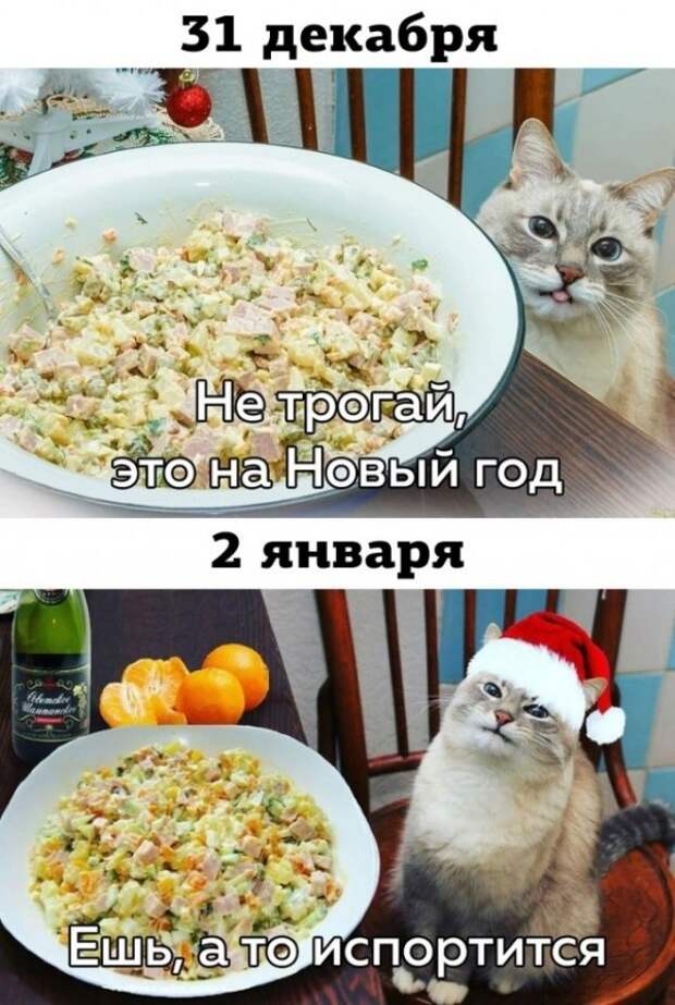 seti-kretinizmy-kartinki-smeshnye-kartinki-fotoprikoly