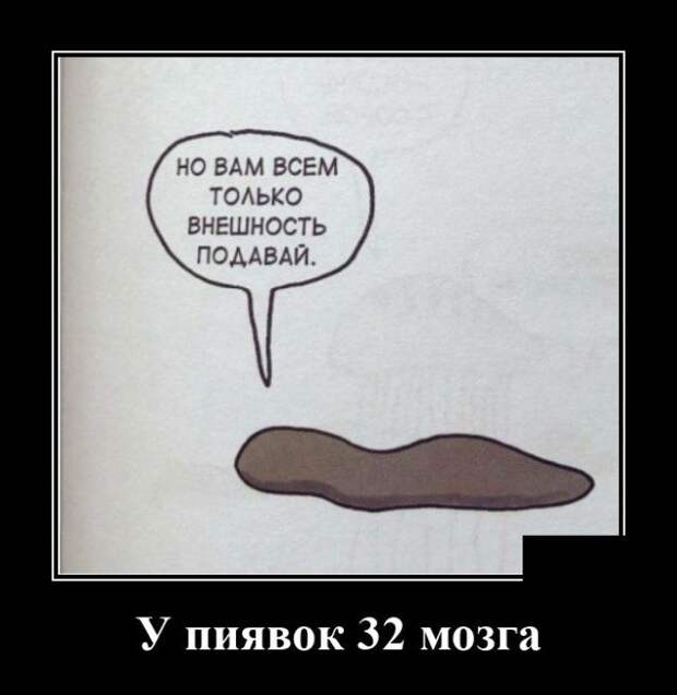 demotivatory-demotivator-smeshnye-demotivatory-demotivator-so-smyslom