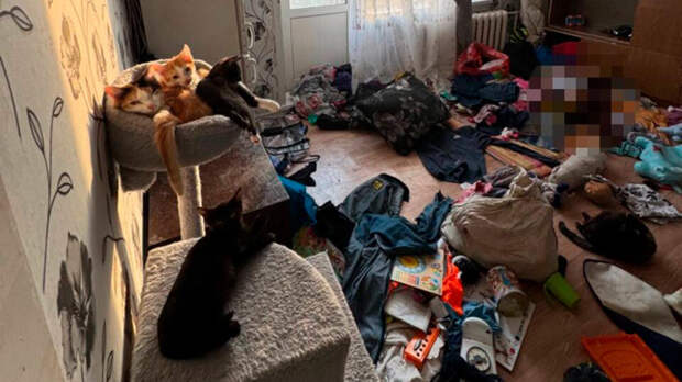 Красноярские правоохранители спасли детей из зловонной квартиры с мусором