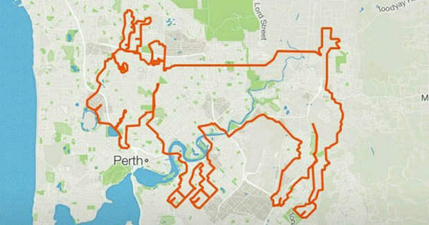 Австралийцы проехали 200 км, чтобы нарисовать козу на навигаторе