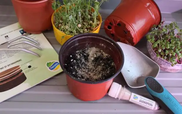 ��� ������ ��������� �������� ������ ������� 0,8-1 �. �� ��� ���������� ���� �������� ������� ����� ���������