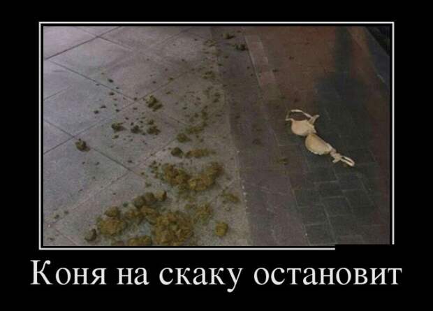 Демотиваторы (30 фото)