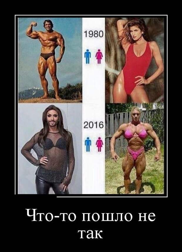 Демотиваторы (30 фото)