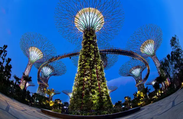 Футуристические сады в Сингапуре