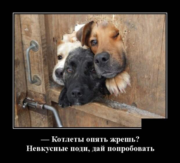 www.vsyako.net