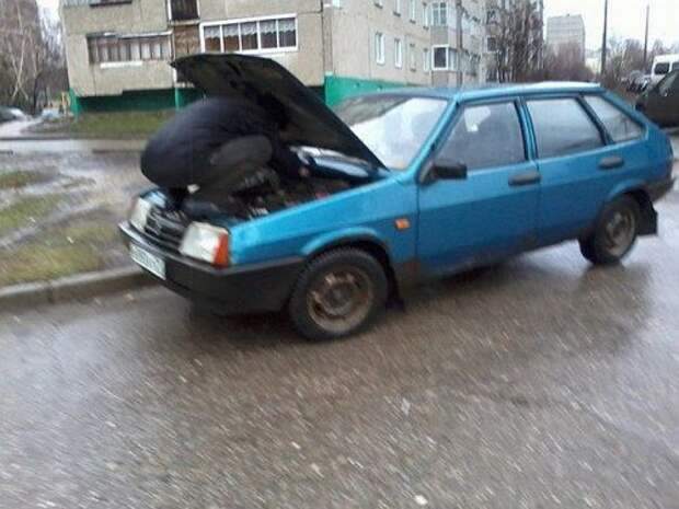 Позитив в весёлых картинках (77 шт)