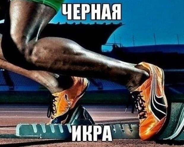 Смешные картинки