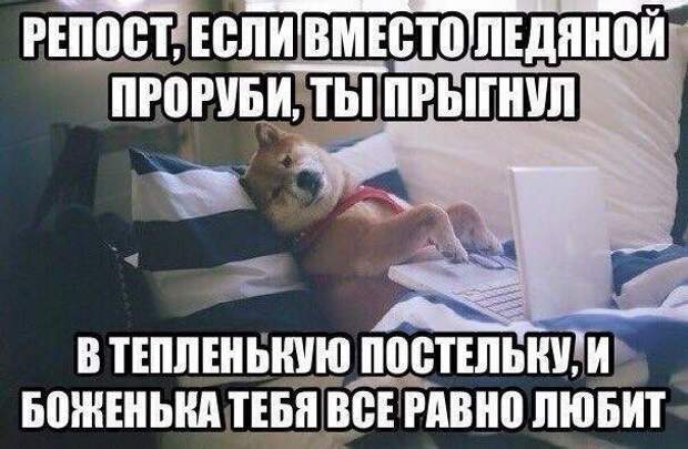 И без веселых картиночек от любителей мемов, безусловно, никуда крещение, соцсети, фото, юмор