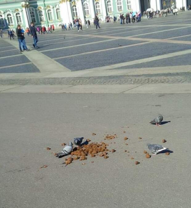 Голод - это не шутки... Голод - это не шутки...