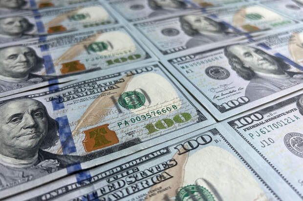 РЕН ТВ: в Москве подростки нашли сумку с $88 тысячами и сожгли деньги