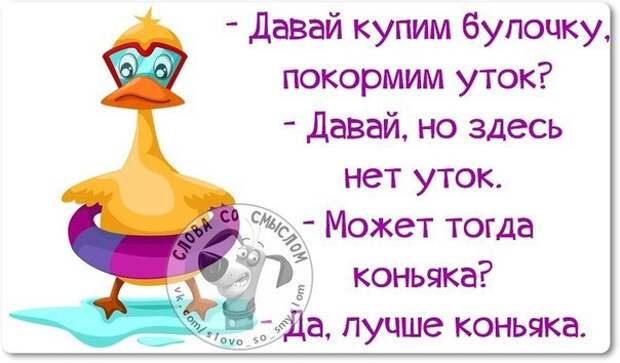 Интересные, стёбные и позитивные фразочки со смыслом (29 фото) Интересные, стёбные и позитивные фразочки со смыслом (29 фото)
