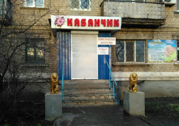 Кабанчиком вокруг света. Кабанчиком вокруг света.