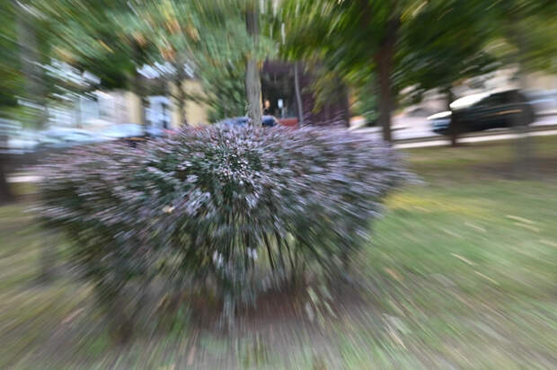 Уничтожили голландскую "птицу" под Херсоном. Ударили в сердце Курской области. Свежая сводка с фронтов СВО от военкоров