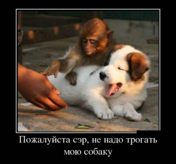 БУДЬ ОПТИМИСТОМ (30 ФОТО)