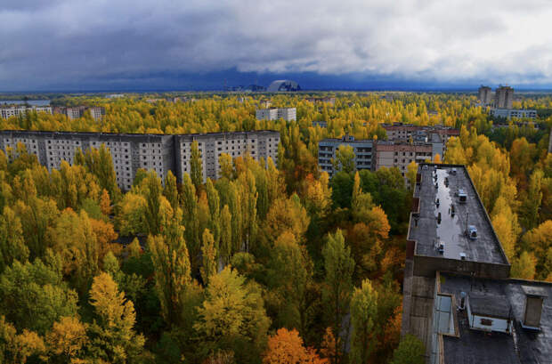 Очень красивые и очень опасные