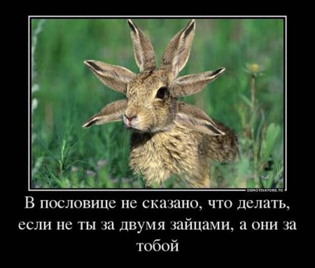 Странные демотиваторы 3.