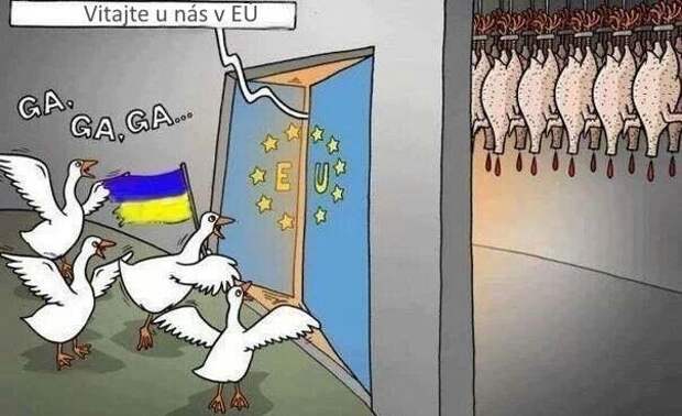 Евроубой Евроубой