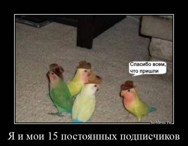 Прикольных демотиваторов сборник (15 фото)