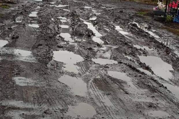 Тамбовчане пожаловались на разбитые дороги на Полынковском кладбище