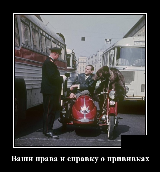 www.vsyako.net