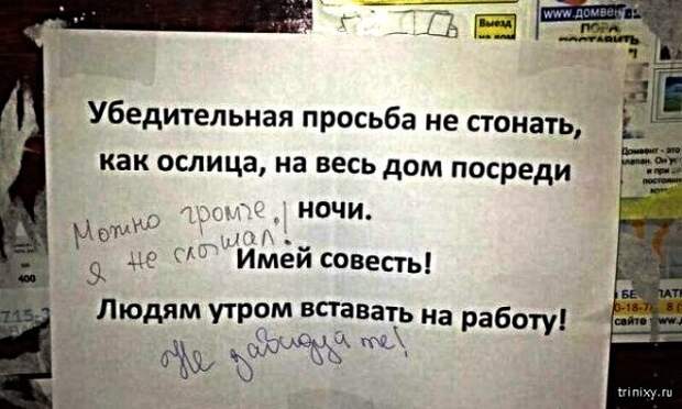 Картинки с надписями,истории и анекдоты