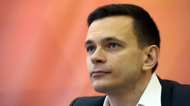 Мосгоризбирком рассказал, почему Яшина не допустили к довыборам 