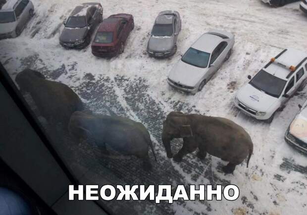 Свежие картинки с надписями для улыбки (10 фото) Свежие картинки с надписями для улыбки (10 фото)