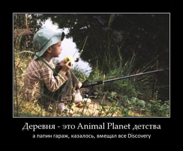 Немного новых демотиваторов
