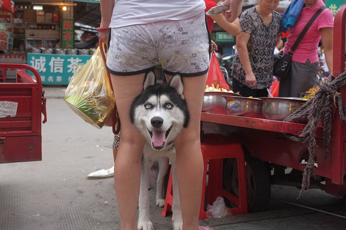Уличная фотография Tao Liu Уличная фотография Tao Liu