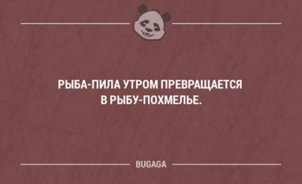 Прикольные фразы в картинках с надписями. Часть 76 (17 шт)