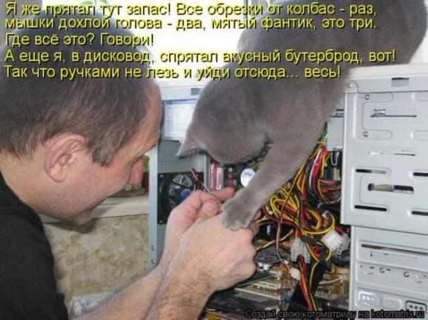 Котоматрицы (картинки с надписями)