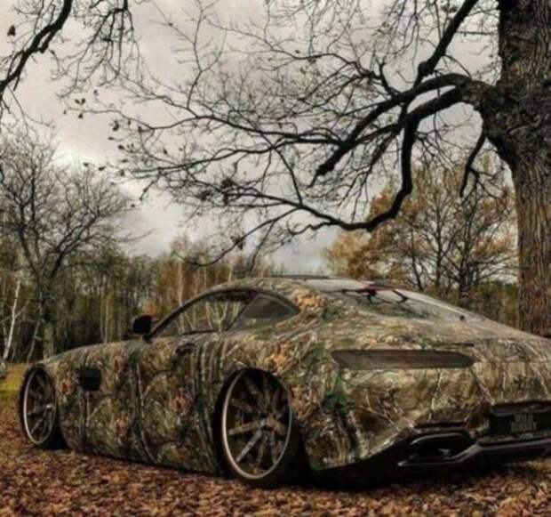 Оказалось, показалось (20 фото)