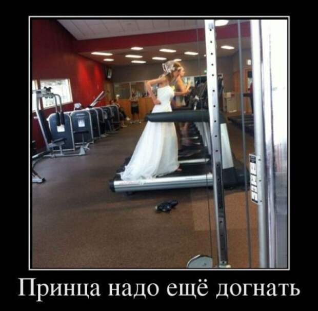 Демотиваторы-приколы (12 шт)