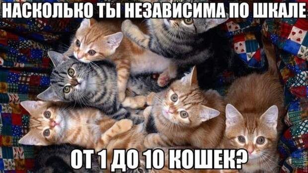 Прикольные картинки (102 фото) Прикольные картинки (102 фото)