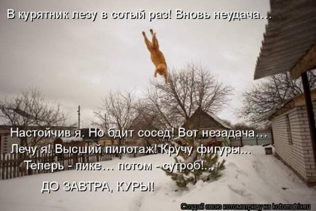 Новая отличная котоматрица (38 фото)