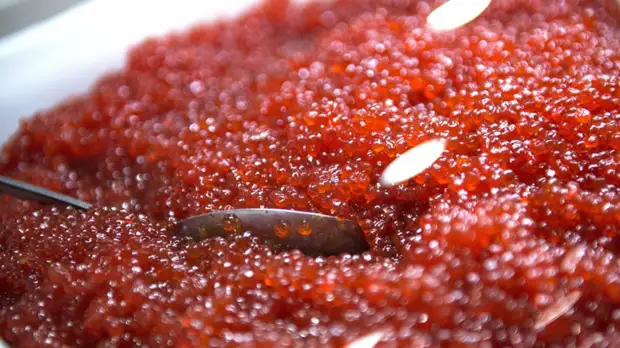 Диетолог Дианова объяснила вред красной икры для отдельных категорий людей