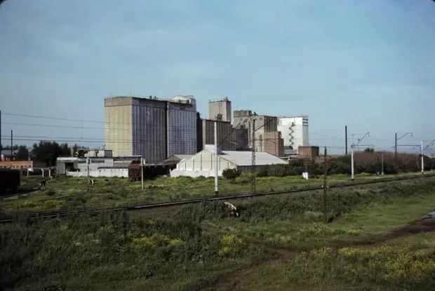 Завод на окраине города. СССР, Омск, 1979 год. 