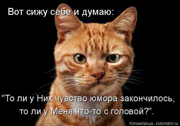 Котоматрица: Вот сижу себе и думаю: "То ли у Них чувство юмора закончилось,  то ли у Меня что-то с головой?".