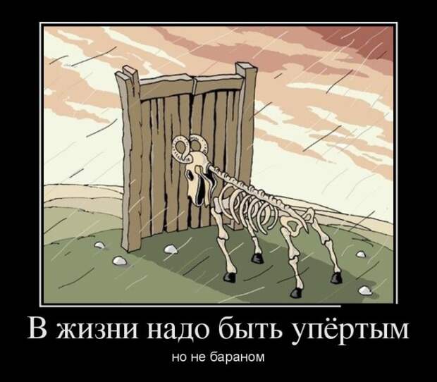 Демотиваторы (30 фото)