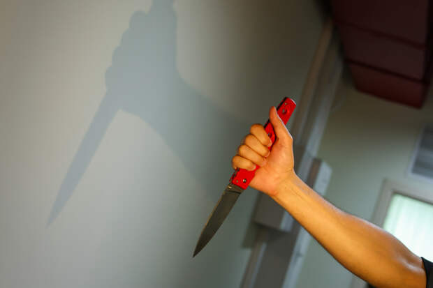 Орудовавший в Подмосковье маньяк признался в совершении более 100 убийств