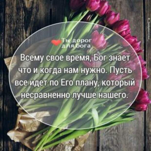 Благодарю, Тебя Создатель!