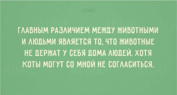 20 открыток с солнечным настроением