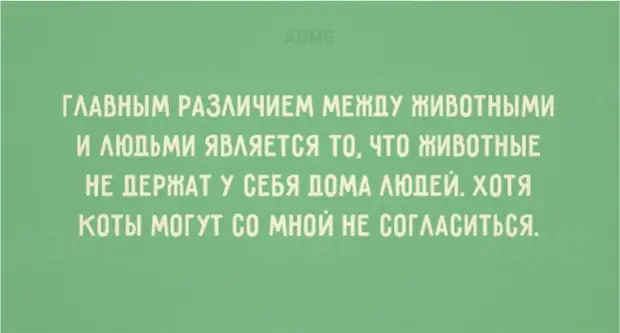 20 открыток с солнечным настроением