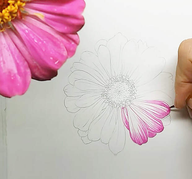 Как нарисовать цветок мастер-класс