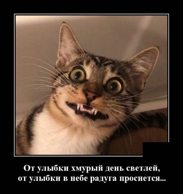 demotivatory-svezhie-demotivator-smeshnye-demotivatory-demotivator-so-smyslom