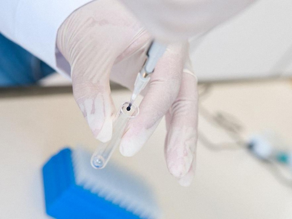 Все что нужно знать о вирусе гриппа flu10 Все что нужно знать о вирусе гриппа