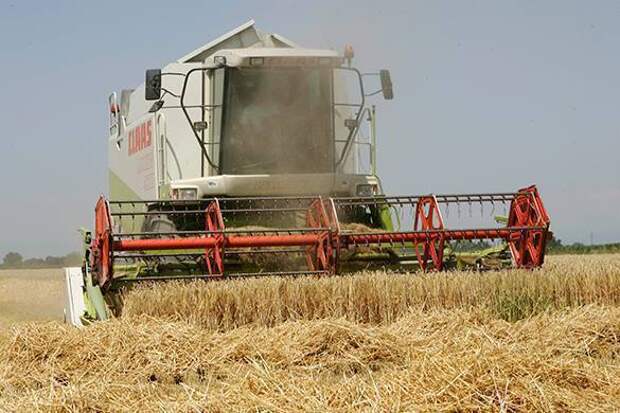 WSJ: рекордный урожай зерна в России стал причиной падения цен на пшеницу в США. WSJ: рекордный урожай зерна в России стал причиной падения цен н