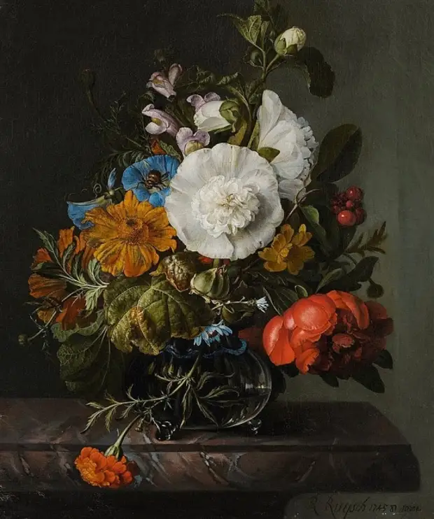  Rachel Ruysch (1664  1750).   