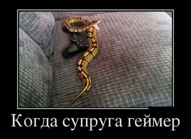 БУДЬ ОПТИМИСТОМ (30 ФОТО)